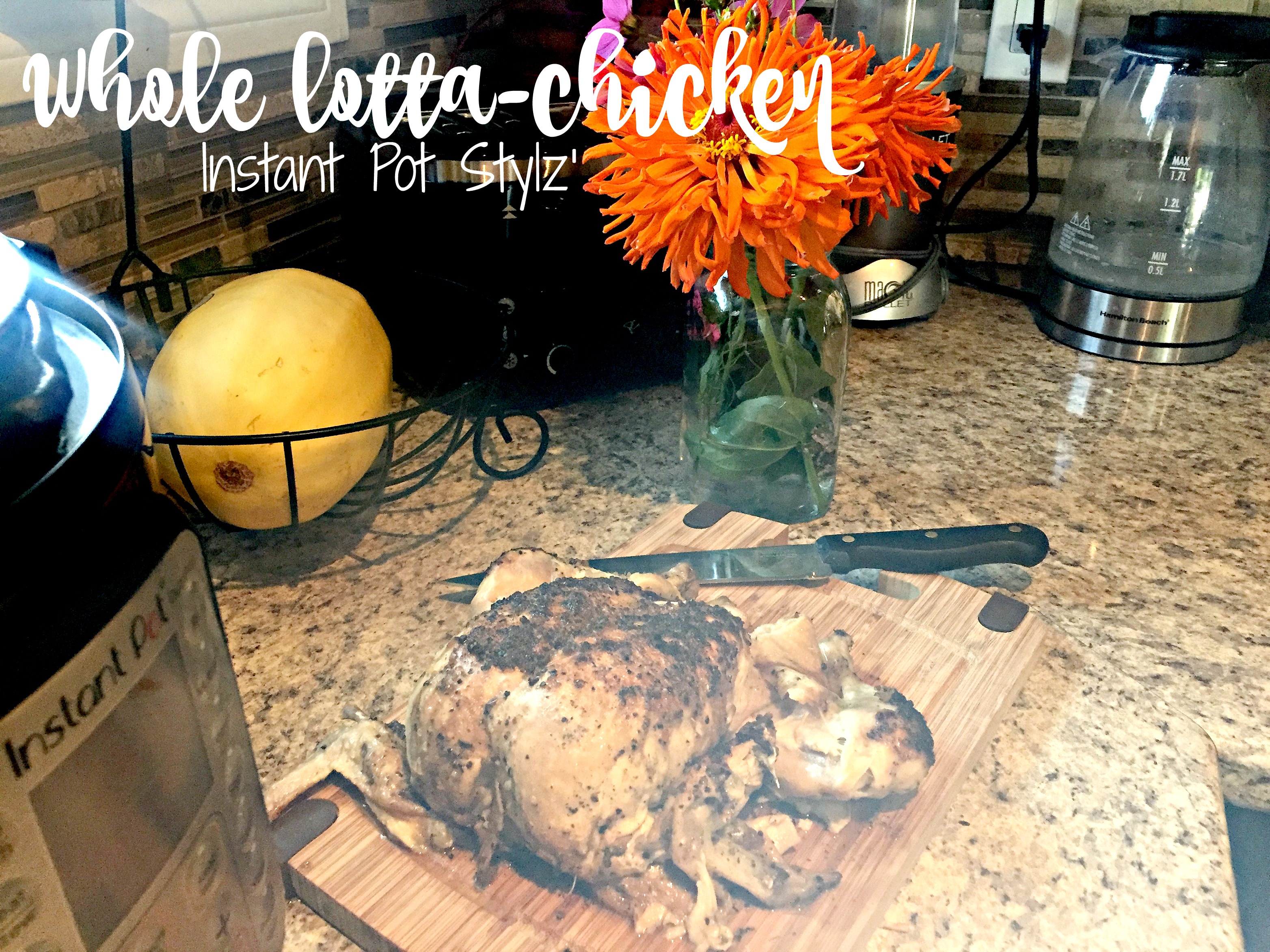 Instant Pot – Whole-lotta-Chicken